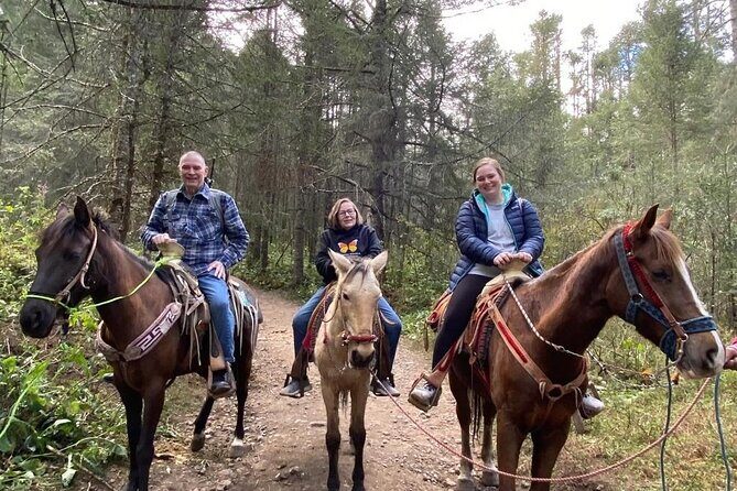 Monarch Butterfly: Biosphere Reserve & Christmas Tour in Mexico - Exploring Tlalpujahua, the Christmas Town