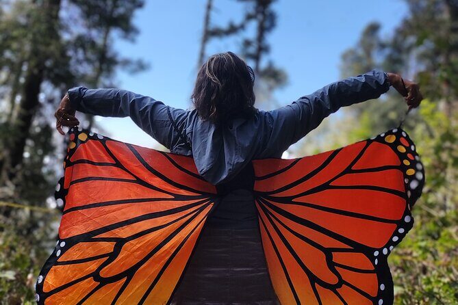 Monarch Butterfly: Biosphere Reserve & Christmas Tour in Mexico - Return Journey to Mexico City