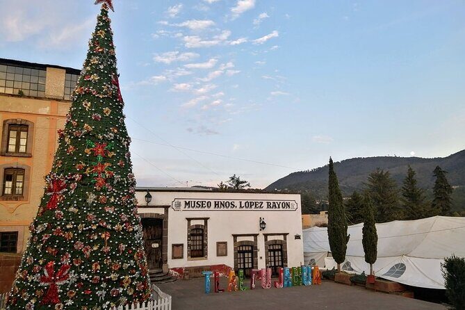 Monarch Butterfly: Biosphere Reserve & Christmas Tour in Mexico - What’s Included and What’s Not