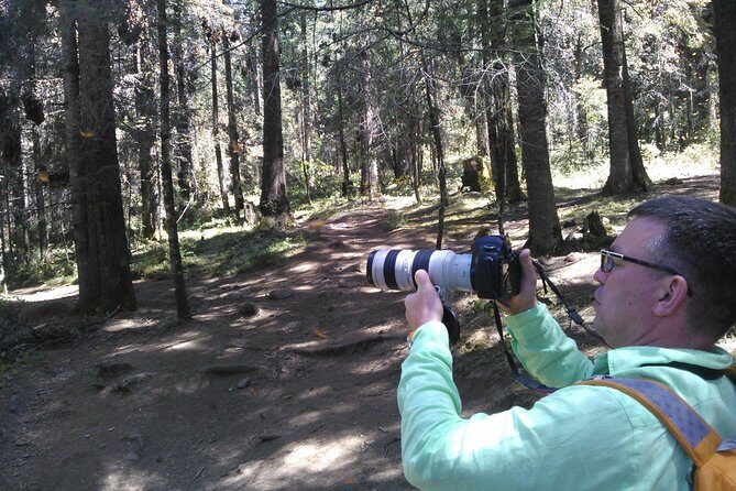 Monarch Butterfly group tour. Join me to watch #butterflies - Final Thoughts