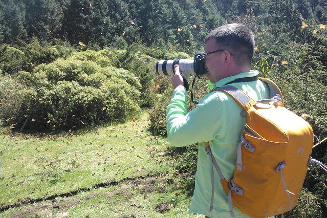 Monarch Butterfly Private Tour (Morelia) - FAQs