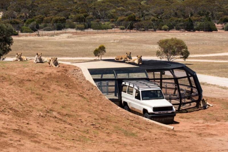 Monarto Safari Park: General Admission Tickets - Introduction