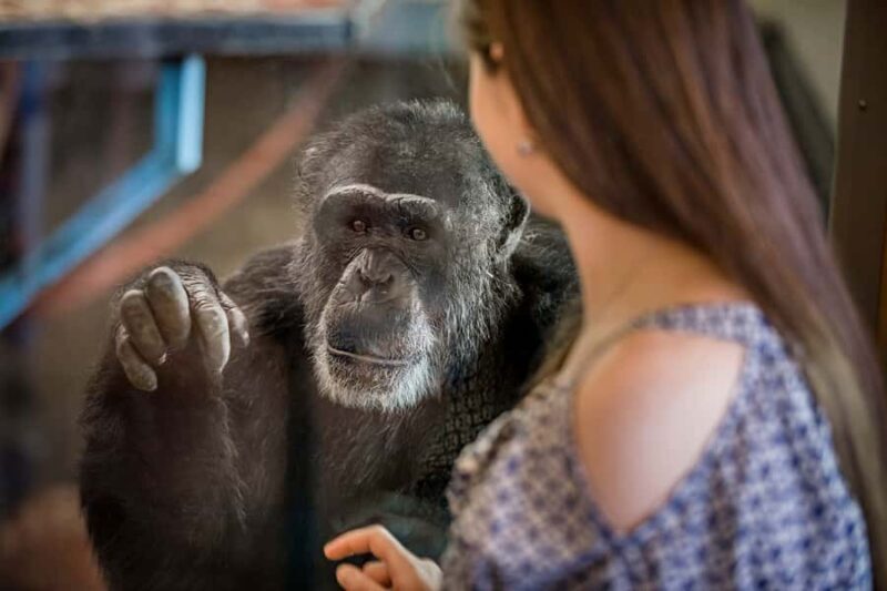 Monarto Safari Park: General Admission Tickets - Key Points