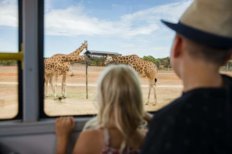 Monarto Safari Park: General Admission Tickets - Who Will Enjoy This Experience?