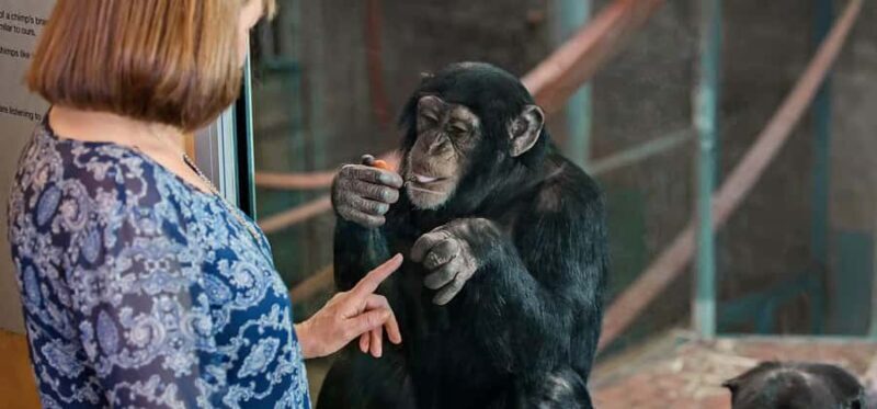 Monarto Safari Park: Keeper for a Day - What Is Monarto Safari Park: Keeper for a Day?