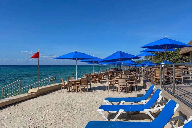 Money Bar Day Pass with Snorkel & Mexican Lunch - Introduction: What Makes the Money Bar Experience Stand Out?