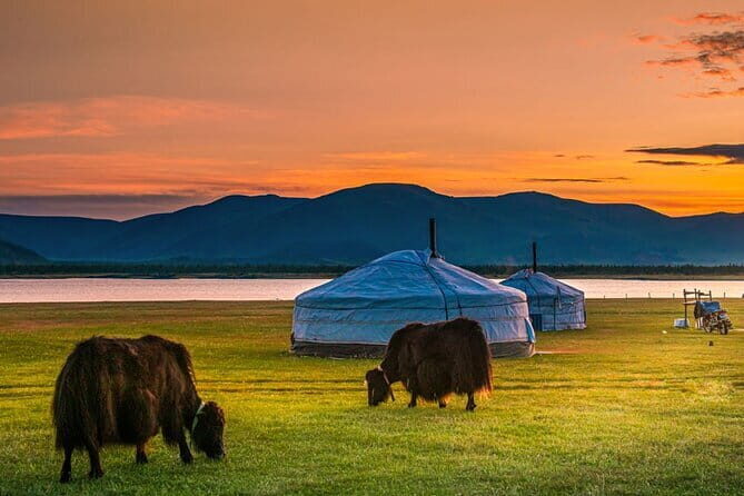 Mongolia - Sedan, Lexus, UAZ Minivan, 4WD Tour& Transport Service - Final Thoughts
