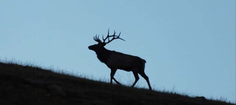 Mongolia: Winter Adventure Tour/Central Mongolia - Final Thoughts