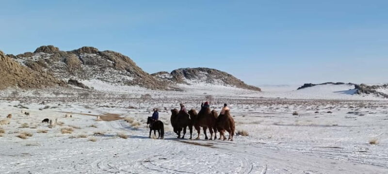 Mongolia : Winter Gobi Desert and Terelj National Park - Day 6: Terelj National Park