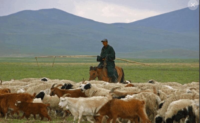 MONGOLIAN NOMADS: 2-Day Horse Trekking & Cow Milking Tour - Transport & Timing