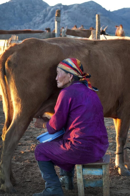 MONGOLIAN NOMADS: 2-Day Horse Trekking & Cow Milking Tour - Who Should Consider This Tour?