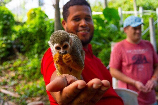 Monkey Enconter & Zip line Adventure - Introducing the Monkey Encounter & Zip Line Adventure