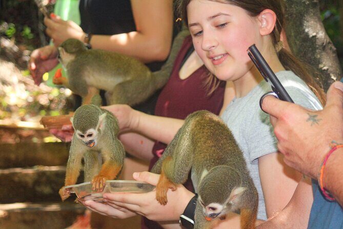 Monkey Enconter & Zip line Adventure - The Experience: Value and Practicalities