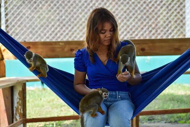 Monkey Encounter and Zip Line Tour from Amber Cove and Taino Bay - The Sum Up: Who Will Love This Tour?