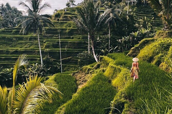 Monkey Forest, Rice Terrace & Water Temple Tour - Key Points