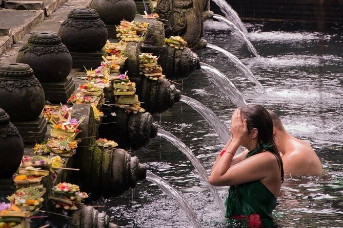 Monkey Forest, Rice Terrace & Water Temple Tour - Practicalities and Value