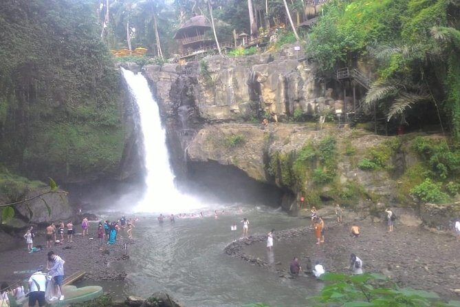 Monkey Forest, Ubud, Waterfall and Rice Terrace - Breathtaking Views at Tegalalang Rice Terrace