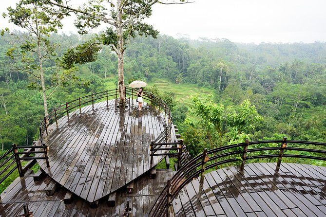 Monkey Forest, Ubud, Waterfall and Rice Terrace - Tegenungan Waterfall: Refreshing and Photogenic