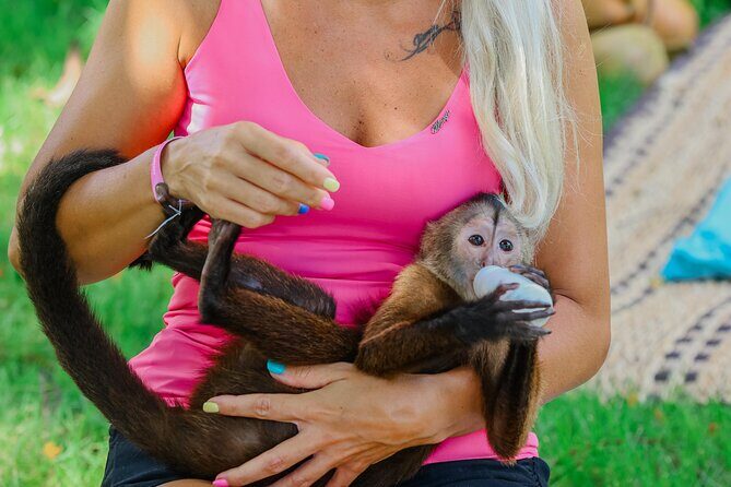 Monkey House VIP Experience with 4 species of monkeys, Punta Cana - Key Points