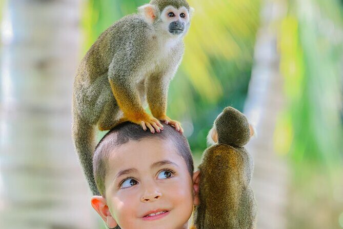 Monkey House VIP Experience with 4 species of monkeys, Punta Cana - FAQ