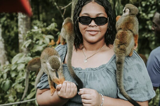 Monkey Jungle with Zip line - Who Should Consider This Tour?