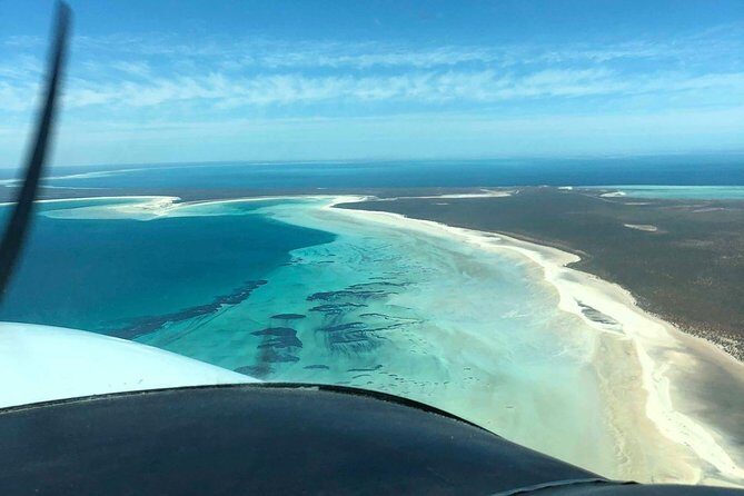 Monkey Mia Dolphins & Shark Bay Air Tour From Perth - An Overview of the Experience