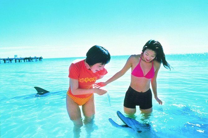 Monkey Mia Dolphins & Shark Bay Air Tour From Perth - Detailed Breakdown of What to Expect