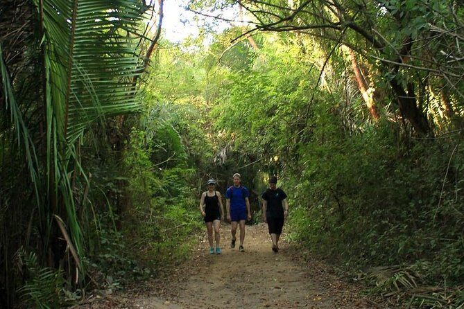 Monkey Mountain Jungle Hike Adventure - Practical Tips for Your Jungle Hike