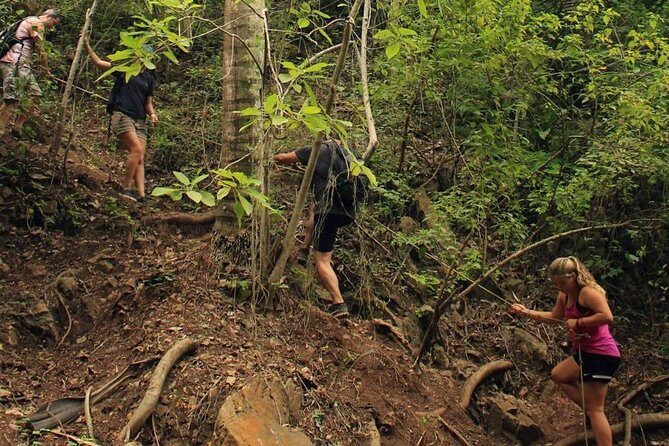 Monkey Mountain Jungle Hike Adventure - Cancellation and Booking