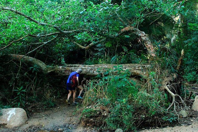 Monkey Mountain Jungle Hike Adventure - Final Thoughts