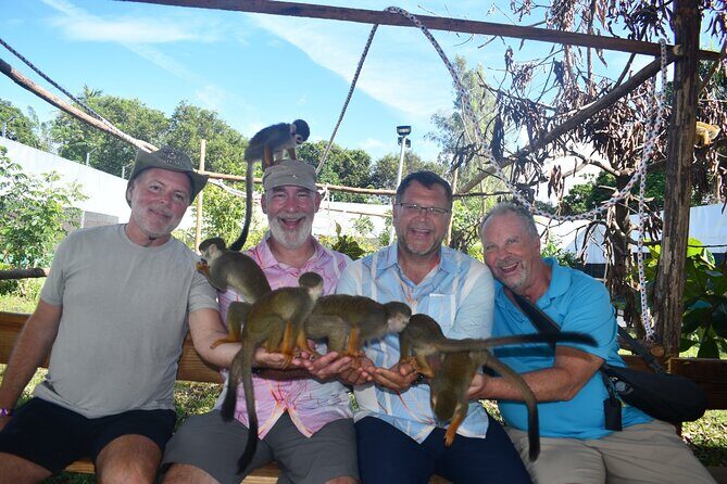 Monkey Tour Interaction and Damajagua waterfalls in Puerto Plata. - Transport, Group Size, and Value