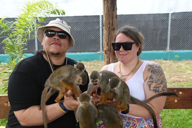 Monkey Tour Interaction and Damajagua waterfalls in Puerto Plata. - Authenticity and Local Life