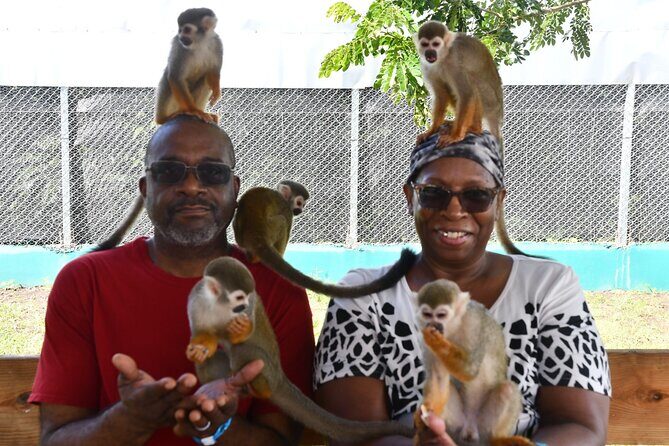 Monkey Tour Interaction and Damajagua waterfalls in Puerto Plata. - Final Thoughts