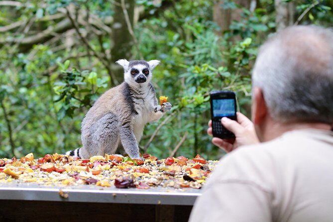 Monkeyland Guided Tour in Plettenberg Bay - Who Should Consider This Tour?