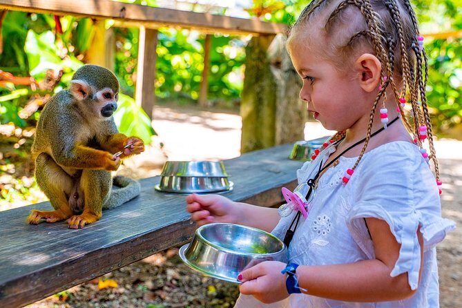 Monkeyland & Plantation Safari Full Day from Juan Dolio - A Practical Look at the Monkeyland & Plantation Safari Full Day from Juan Dolio