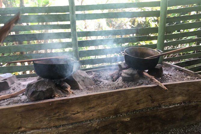 Monkeyland & Plantation Safari Full Day from Juan Dolio - What Past Travelers Say