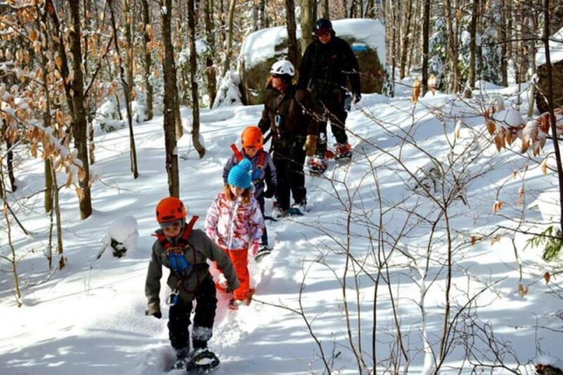 Mont-Catherine: Ziplines & Hike - Who Should Consider This Tour?