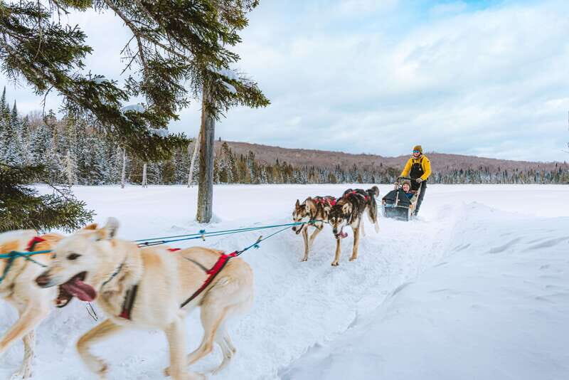 Mont-Tremblant: Dogsledding Upper Laurentians - Key Points