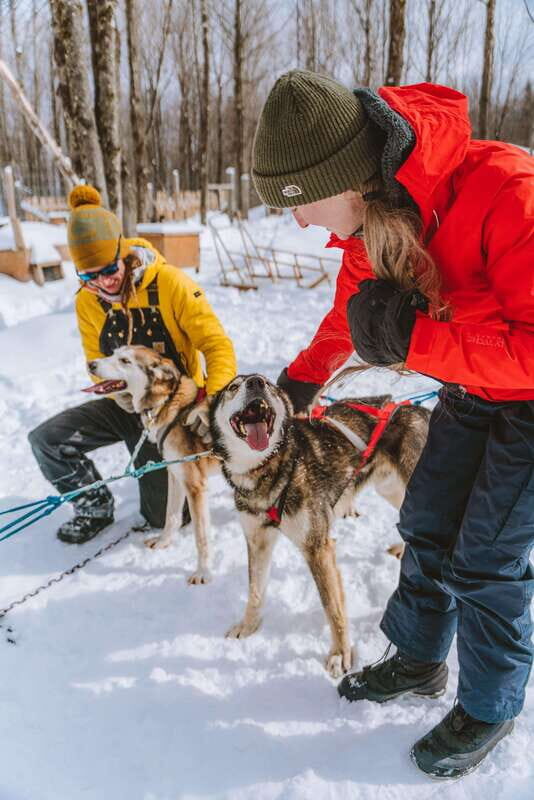 Mont-Tremblant: Dogsledding Upper Laurentians - The Experience in Detail