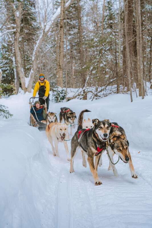 Mont-Tremblant: Dogsledding Upper Laurentians - Who Will Love This Tour?