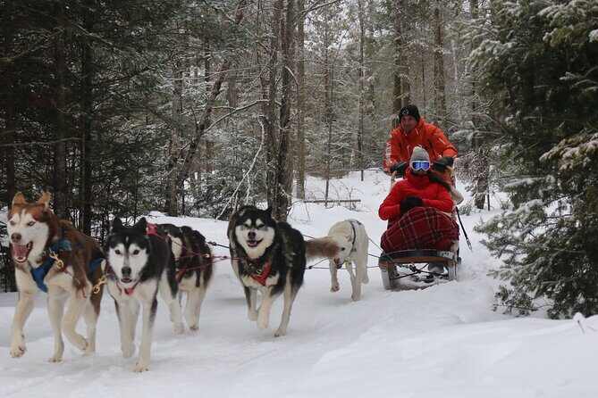 Mont Tremblant Dogsledding Valley Adventure - Final Thoughts