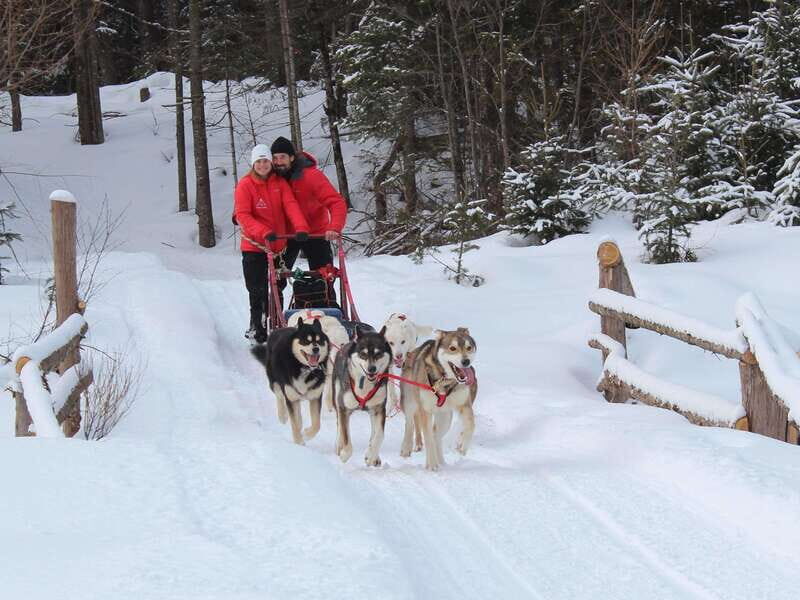 Mont-Tremblant: Dogsledding Valley Adventure - Key Points