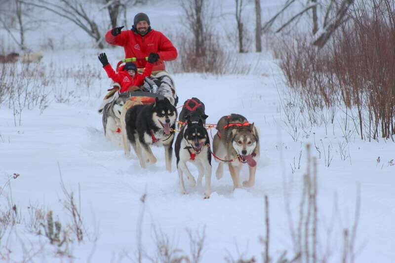 Mont-Tremblant: Dogsledding Valley Adventure - The Experience in Detail
