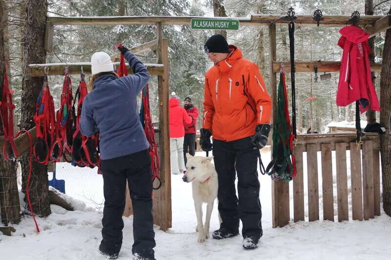 Mont-Tremblant: Dogsledding Valley Adventure - Authenticity and Value