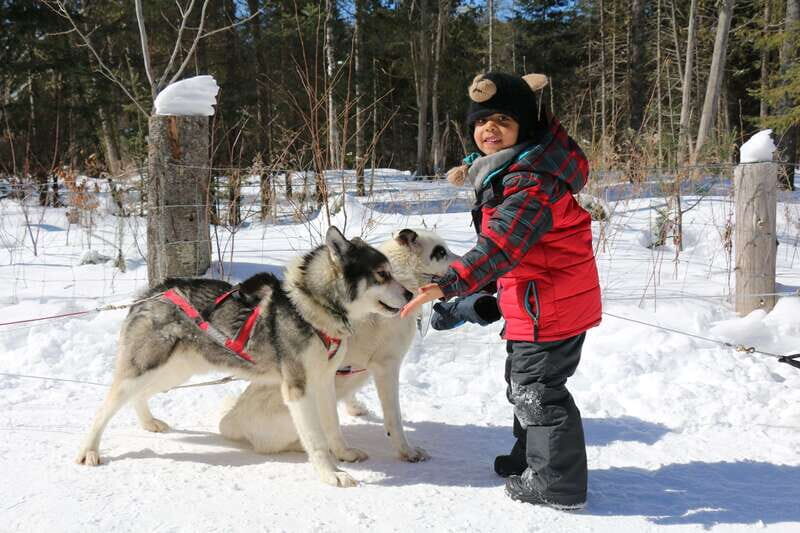 Mont-Tremblant: Dogsledding Valley Adventure - FAQs