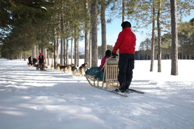 Mont-Tremblant: Guided Dogsledding Tour with Hot Chocolate - A Closer Look at the Dogsledding Experience