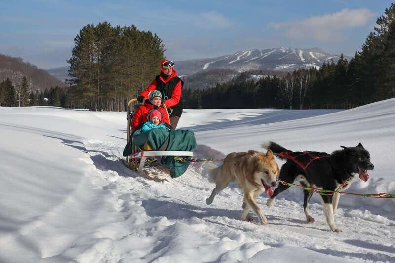 Mont-Tremblant: Guided Dogsledding Tour with Hot Chocolate - Authentic Reviews: What Participants Say