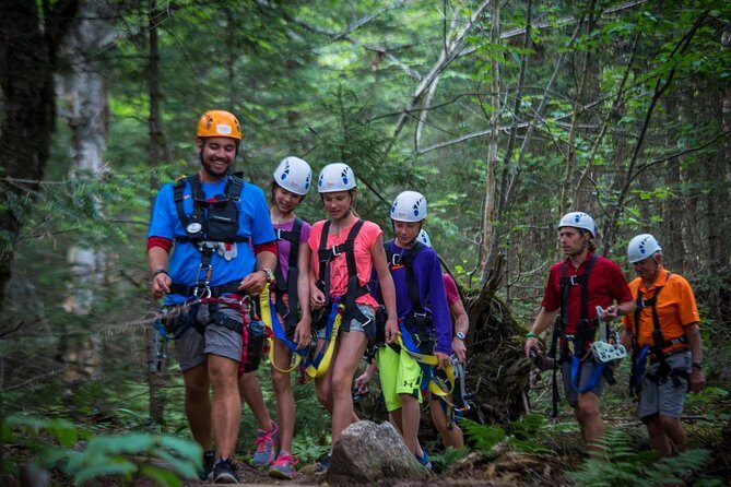 Mont Tremblant Guided Zipline Tour - Who Will Love This Tour?