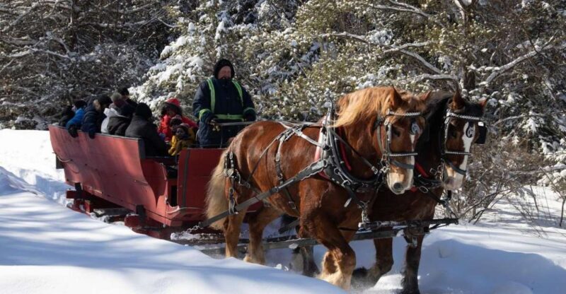 Mont-Tremblant: Sleigh Ride w/ Storytelling & Hot Chocolate - A Deeper Look at the Mont-Tremblant Sleigh Ride Experience