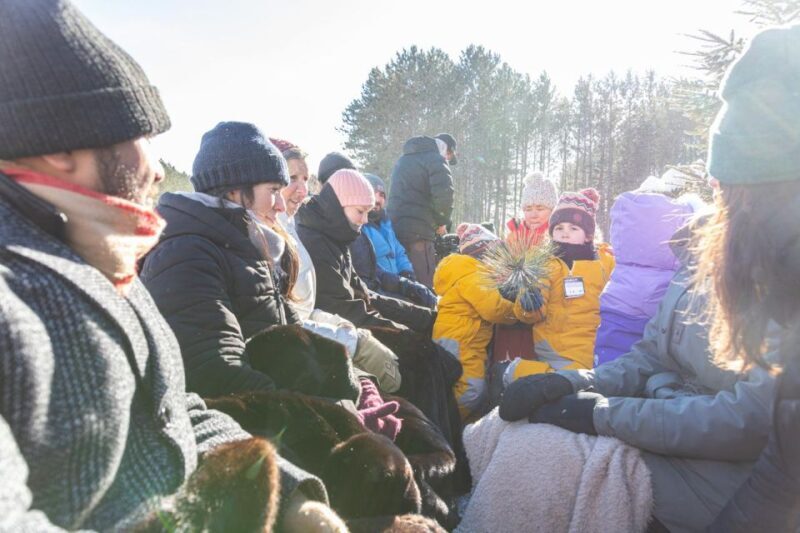 Mont-Tremblant: Sleigh Ride w/ Storytelling & Hot Chocolate - Who Will Love This Tour?